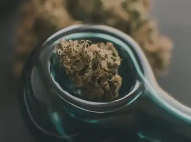 How to Choose a Quality cannabis Product: What to Look for Before You Buy
